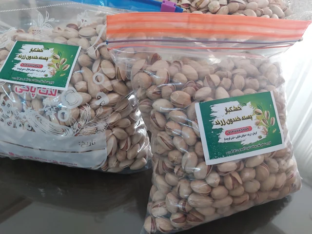 پسته فندقی امسالی مهر ۱۴۰۴ دستچین شده درشت